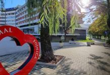 SPEKTAKL 2. JULA: Koncertom Harija Mata Harija „Reumal“ proslavlja 113. Rođendan